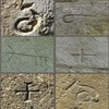 DICCIONARIOS