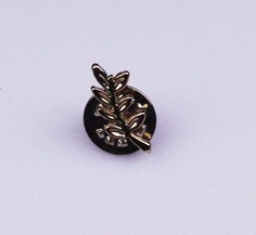 Pin ACACIA dorado Pin ACACIA dorado