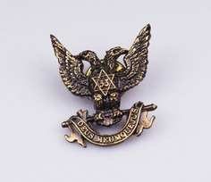 Pin color bronce ÁGUILA Grado 33 del REAA Pin color bronce ÁGUILA Grado 33 del REAA