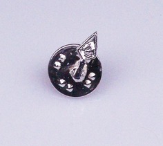 Pin PALETA plateada tamaño mini Pin PALETA plateada tamaño mini