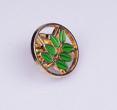 Pin ACACIA sobre ESTRELLA DE CINCO PUNTAS Pin ACACIA sobre ESTRELLA DE CINCO PUNTAS