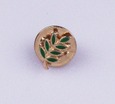 Pin ACACIA verde