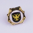 Pin ÁGUILA de los Altos Grados