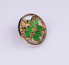 Pin ACACIA sobre ESTRELLA DE CINCO PUNTAS