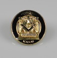 Portada de: Pin simbología del MASÓN