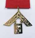 Medalla condecoración PAST MASTER (rojo)
